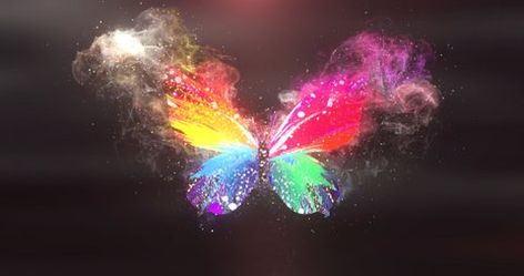 Ballroom Dance Photography, Butterfly Video, Celestial Beings, Intro Animation, Colored Butterfly, Blur Image Background, Santa Claus Images, Cambodian Art, Moving Backgrounds