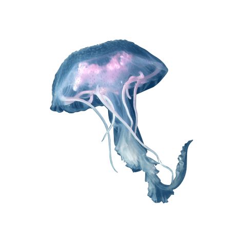 Shark Phone Icons, Ocean Carrd Png, Sea Life Icons, Jellyfish Widget Icon, Jellyfish Png Aesthetic, Sea Png Aesthetic, Ocean Png Aesthetic, Jellyfish Icon Aesthetic, Ocean Png Icons