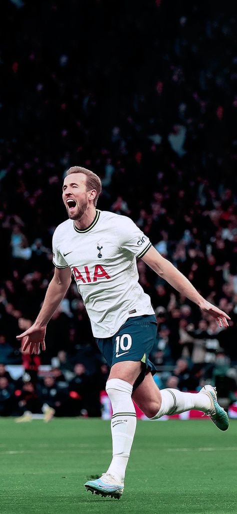 English Football Stadiums, Harry Kane Wallpapers, Arsenal Soccer, Tottenham Hotspur Players, Roman Reigns Shirtless, Soccer Highlights, Premier League Teams, Real Madrid Football, Tottenham Hotspur Fc