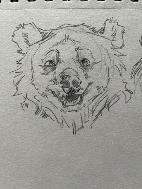 Drawing Ideas Animals Sketches, Bear Drawing Simple, Drawing Of Animals, Dope Sketches, Sketch Animals, Animal Sketch, Animal Drawings Sketches, Bear Drawing, Art Tools Drawing