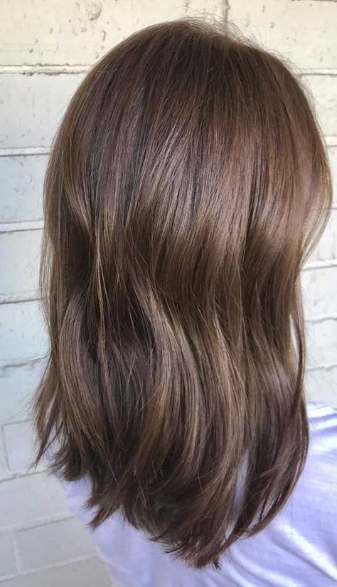 49 Beautiful Light Brown Hair Color To Try For A New Look Beautiful Light Brown Hair, Honey Brown Hair Color, Cool Brown Hair, Medium Brown Hair Color, Light Brown Hair Color, Hair Levels, Beautiful Brown Hair, Brown Hair Shades, Chocolate Brown Hair Color