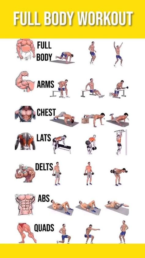 Daily Full Body Workout, Workout Shoulder, Gym Workout Apps, Full Body Workout Plan, Workout Daily, Latihan Dada, Workout Man, Workout Plan For Men, Latihan Kardio