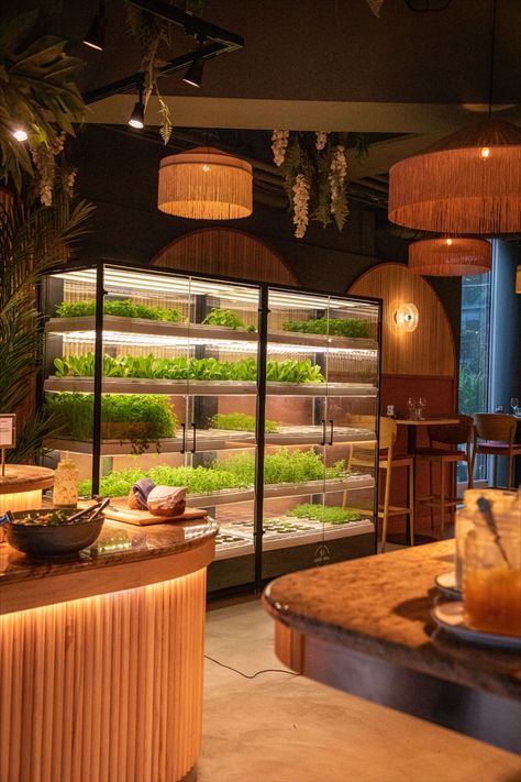 Indoor vertical farm in a cozy restaurant with greens growing inside. Hydroponic Restaurant Design, Vertical Farming Restaurant, Salad Restaurant Interior, Restaurant Indoor Design, Restaurant Herb Garden, Modern Farm Restaurant, Health Restaurant Design, Salad Cafe Interior, Eco Restaurant Design
