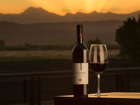 Whether you're drinking for Malbec World Day or just looking for a solid bottle to pair with dinner, these wines won't do you wrong. Beer Calories, Malbec Wine, Wine Preserver, Wine Sale, Wine Case, Cheap Wine, Wine Glass Holder, Wine Fridge, Wine Clubs