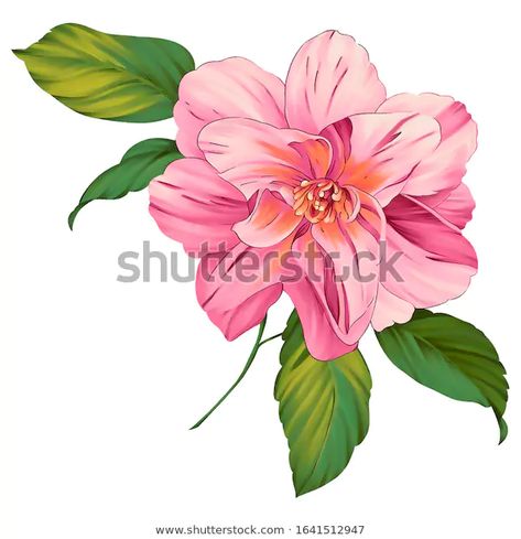 Digital Textile Design Flower Leaves Stock Illustration 1641512947 Botanical Flowers Png, Digital Flowers Png, Textile Design Flower, Hd Flowers, Flower Png Images, Digital Textile Design, Botanical Flower Art, Cherry Blossom Art, Folk Art Flowers