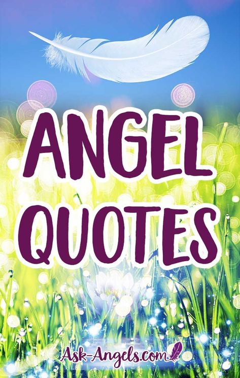 Funny Angel Pictures, Angel Gained Her Wings Quotes, Christmas Angel Sayings, Sayings About Angels, Angel Pictures Spiritual, Angels Quotes Love, Angel Sayings Simple, Angel Sayings And Quotes Short, Angel Cards Messages
