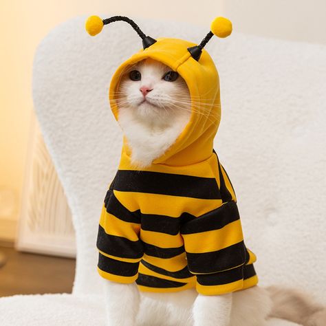 Winter Puppy, Small Kittens, Bee Costume, Pet Halloween Costumes, Warm Clothes, Cat Holidays, Cat Sweaters, Puppy Clothes, Halloween Animals