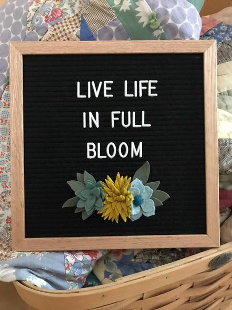 Beads Quotes, Spring Letter Board Quotes, Spring Letter Board, Letterboard Sayings, Letterboard Ideas, Letterboard Signs, Letter Board Quotes, Board Sayings, Spring Funny