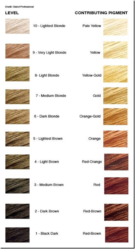 hair color level chart Level 8 Hair Color, Blonde Hair Levels, Levels Of Hair Color, Bleaching Hair, Hair Chart, Hair Levels, Hair Color Formulas, Hair School, At Home Hair Color