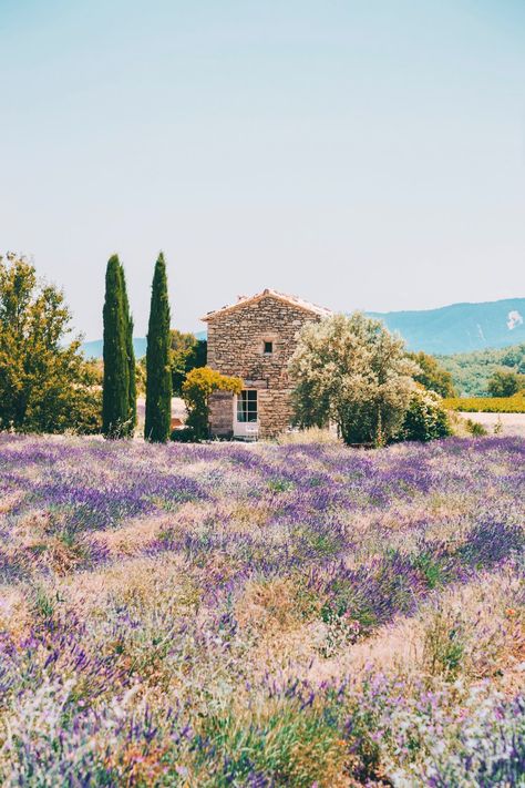 Exploring Provence — Mary Quincy Provence, Provence Aesthetic, Nature Aesthetic, Pretty Places, Travel Aesthetic, Travel Dreams, Beautiful World, Wonders Of The World, Places To See