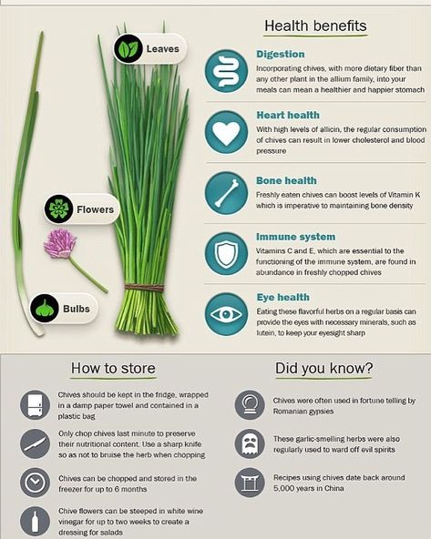 The difference between chives, leeks, and scallions, fresh herbs, cooking with chives, cooking with leeks, cooking with scallions, onion family, green onion, herbs Essen, Chives Benefits, Herbs And Their Benefits, Herbs Benefits, Herb Benefits, Benefits Of Herbs, Medicinal Herbs Garden, Medical Herbs, Food Health Benefits