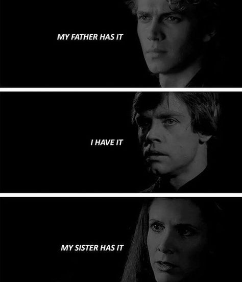 The Force is strong in my family The Skywalker Family, Skywalker Family Tree, Star Wars Family Tree, Skywalker Family, Dark Lord Of The Sith, X Men Evolution, Anakin And Padme, High Ground, Star Wars Anakin