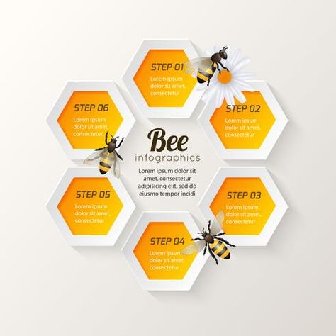 Honey Bee Facts, Honeycomb Background, Logo Bee, Unique Website Design, Bee Facts, Galaxy Phone Wallpaper, Banner Printing, Coloring Book Art, Bee Keeping