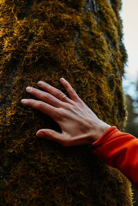 Nature, Shinrin Yoku Photography, Forest Bathing Photography, Forest Branding, Tree Bathing, Forest Foraging, Forest Meditation, Forest Therapy, Nature Therapy