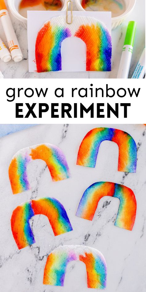 Rainbow Water Science Experiment, Growing Rainbow Experiment, Springtime Art For Preschoolers, Stem Ideas For 1st Grade, Rainbow Stem Activities Preschool, Easy Pre K Science Experiments, Rainbow Math Preschool, Rainbow Steam Activities, Cool Projects For Kids