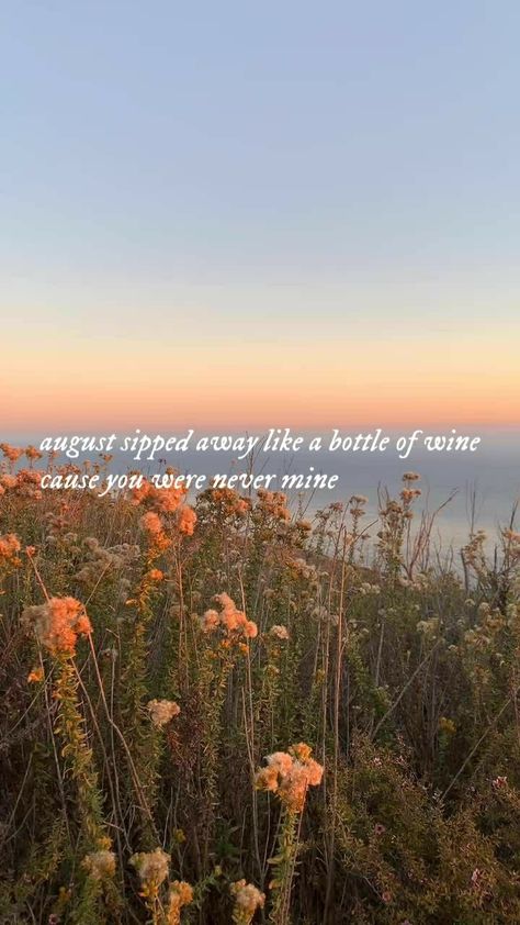 Lyric Quotes Taylor Swift, Taylor Swift Lockscreen Lyrics, Taylor Swift Wallpaper Taylor Swift, Taylor Swift Lockscreen Wallpaper, Wallpaper Taylor Swift Lyrics, Taylor Swift Lockscreen, Wallpaper Taylor Swift, Folklore Taylor Swift, August Wallpaper