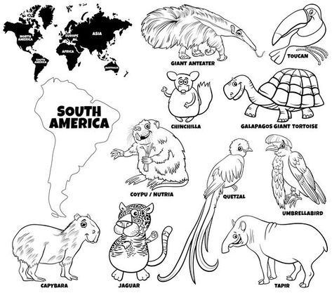 Cartoon south american animal characters... | Premium Vector #Freepik #vector #school #book #kids #education America Coloring Pages, Ryan Sullivan, South America Animals, World Map Continents, North American Animals, Animals Coloring Pages, South America Map, Geography For Kids, Sistem Solar