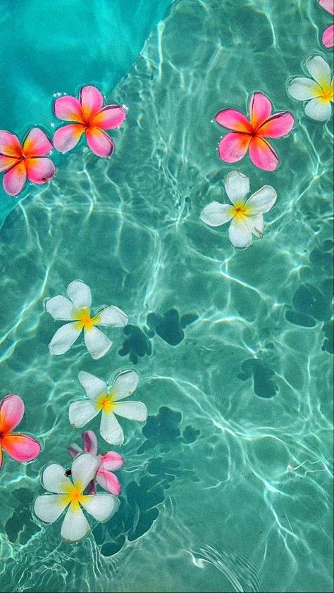 Beachy Tropical Aesthetic, Aesthetic Summer Flowers, Vibrant Beach Aesthetic, Beachy Backgrounds Aesthetic, Sand Aesthetic Wallpaper, Bright Beach Aesthetic, Summer Backgrounds Aesthetic, Tropical Vibes Aesthetic, Aesthetic Watch Wallpaper