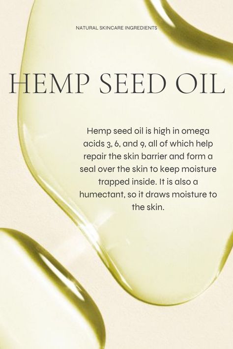 Meadow Foam Seed Oil Benefits, Hemp Seed Oil Benefits Hair, Hemp Oil Benefits Skin, Hemp Seed Oil Benefits Skin, Hemp Aesthetic, Hemp Seed Oil Benefits, Carrier Oil Benefits, Hemp Oil Benefits, Everyday Skincare