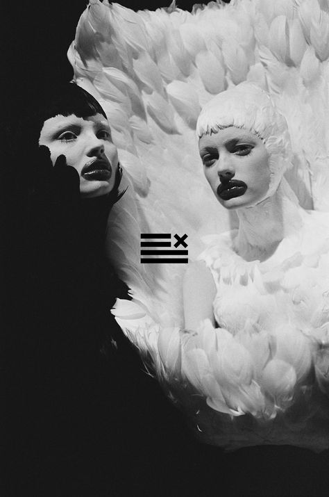 Black & White swans Alexander Macqueen, Alexander Mcqueen Savage Beauty, Foto Portrait, Savage Beauty, Mcqueen Fashion, Ange Demon, Alexander The Great, Swan Lake, Black Swan