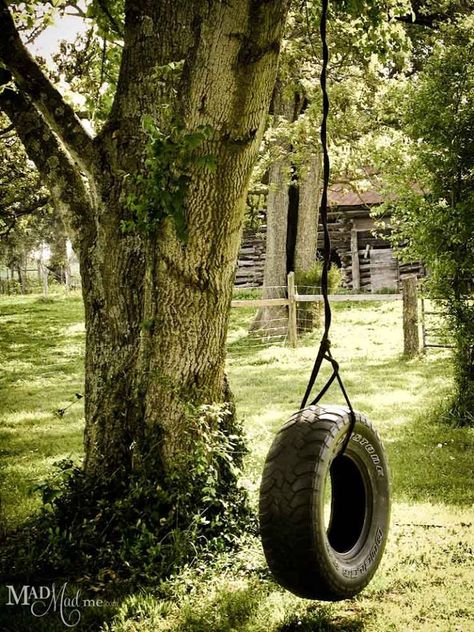 Tire Swings, Yard Swing, Backyard Hammock, Backyard House, Backyard Swings, Tire Swing, Country Scenes, Farms Living, Garden Trees