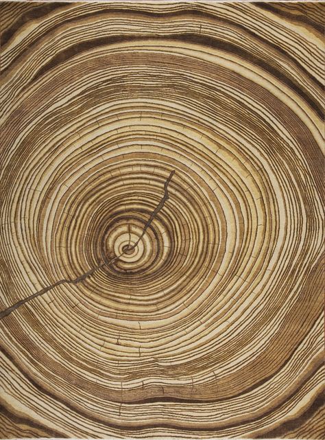 Barrel Texture, Tree Interior, Wood Barrel, Texture Carpet, Carpentry Workshop, Brown Decor, Handmade Tree, Wood Logo, Tree Textures