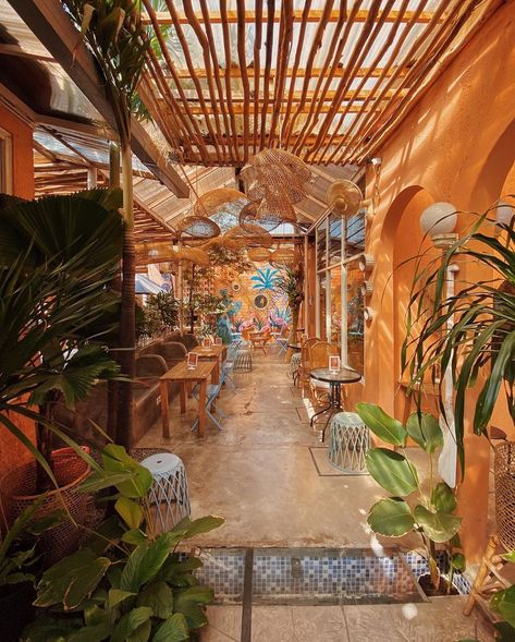 Nature, Tropical Cafe Interior, Tropical Coffee Shop, Tropical Cafe, Bohemian Cafe, Coffee Display, Coffee Bar Design, Tropical Orange, Natural Bohemian