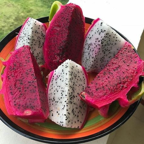 🌿RAYA KEBUN INDONESIA🌿 on Instagram: “Sarapan sehat pagi hari😘..salurkan energi posirif dengan rajin konsumsi buah segar.Buah Naga mudah di tanam dan cepat beradaptasi,.tanah…” Tumblr, Fruit, Instagram, Buah Naga, Dragon Fruit, Fruits And Vegetables, On Instagram