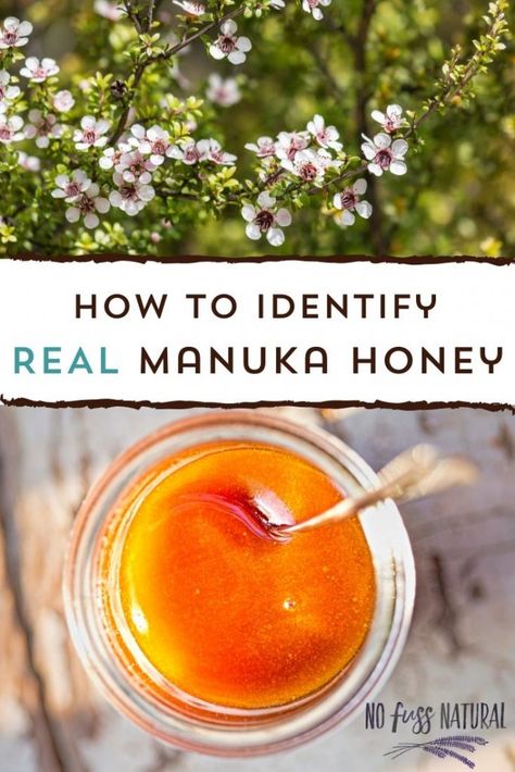 What is Manuka Honey? UMF, MGO, and More - No Fuss Natural Manuka Tree, Harvesting Honey, Types Of Honey, Dry Mixes, Honey Label, Complementary Medicine, Honey Diy, Wound Care, Natural Lifestyle