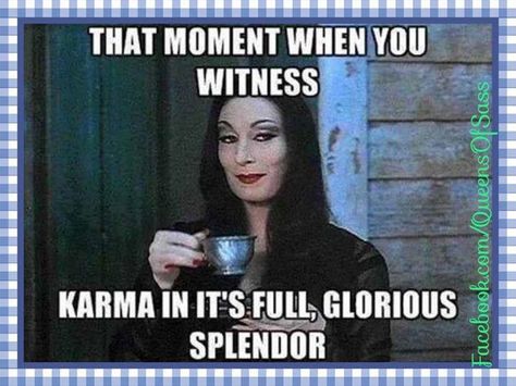 Witnessing Karma Karma Quotes, Albert Einstein, Amalfi, Inspirerende Ord, Clip Video, That Moment When, E Card, Bones Funny, I Laughed