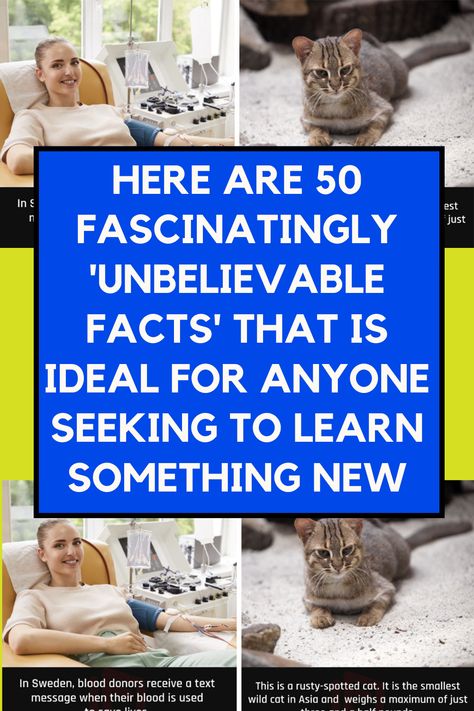Here Are 50 Fascinatingly 'Unbelievable Facts' That Is ideal For Anyone Seeking To Learn Something New Weird True Stories, Rusty Spotted Cat, Learn Everyday, Stranger Than Fiction, Strange Facts, Bizarre Facts, Blood Donor, Million Followers, Unbelievable Facts