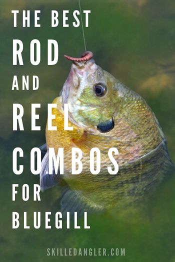 Bluegill Bait, Bluegill Fishing, Crappie Fishing Tips, Best Fishing Rods, Trout Fishing Tips, Fishing For Beginners, Fishing Rods And Reels, Walleye Fishing, Fishing Techniques