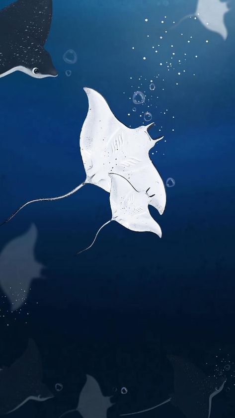 Stingray Wallpaper Aesthetic, Stingray Background, Sting Ray Wallpaper, World Iphone Wallpaper, Stingray Wallpaper, Iphone Wallpaper Dark, Dark Mother, Fauna Marina, Normal Wallpaper