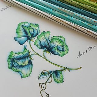 🌸Jennifer Teh Zreagat🌸 (@jennartspace) • Instagram photos and videos Color Pencil Drawing Ideas, Pencil Drawing Ideas, Colored Pencil Tutorial, Adult Colouring Pages, Colored Pencil Techniques, Coloring Tutorial, Colouring Techniques, Coloured Pencils, Color Pencil Drawing