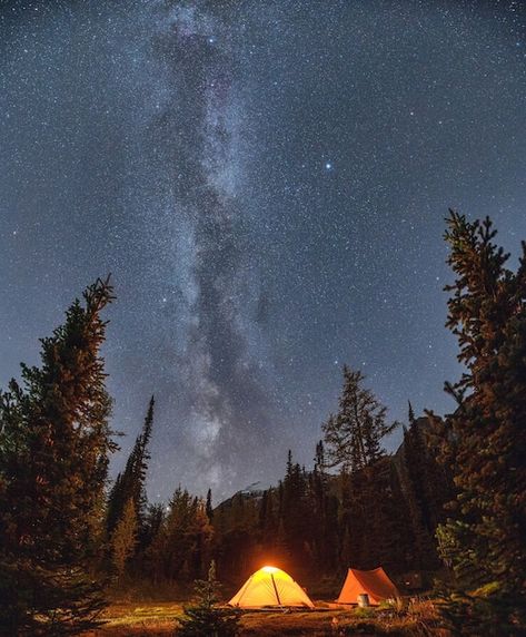 Camping Stars Night Skies, Camping Night Photography, Camp Site Aesthetic, Forest Camping Aesthetic, Camping In The Mountains, Camping Night Aesthetic, Night Camping Aesthetic, Bonfire Drawing, Camping Astethic