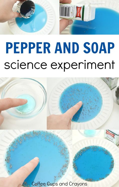 Pepper And Soap Experiment, Soap Experiment, Vetenskapliga Experiment, Science Experience, Kraftangan Prasekolah, Kid Science, Science For Toddlers, Science Week, Science Experiments For Kids