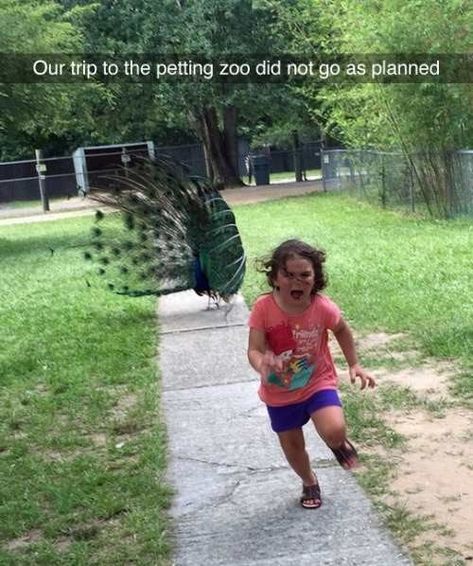 26 People Who Are Having A Way, Way Worse Day Than You Johnny Depp, Funny Photos, Kuta, Worst Day, Girl Running, Dark Souls, Pokemon Go, Bones Funny, Funny Posts