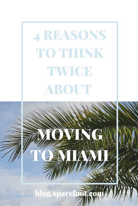 Ocean Waves, Living In Miami, Miami Living, Moving To Miami, Miami Life, Magic City, Job Offer, Miami Florida, Miami Fl