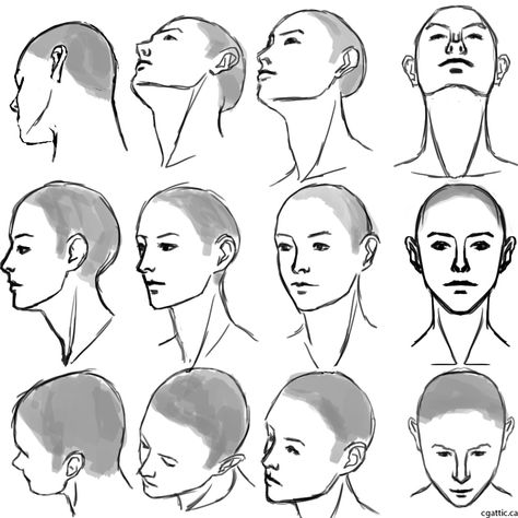 Head angles & hairline Human Face Side View Drawing, Shaved Head Reference, Face Point Of View Drawing, How To Draw A Head From The Side, Three Quarter Face Drawing, Hairlines Drawing, Three Fourths View Face Reference, Oblique Left Face Drawing, Drawing Face Side View