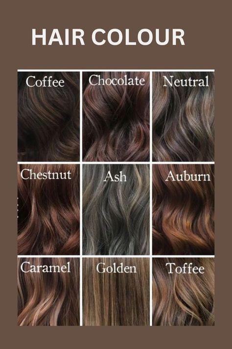 Elegant and Rich: Stunning Chocolate Brown Hair Colors Hair Colour Women Highlights, Hair Colour Name Chart, Balayage, Hair Dye Color For Brown Skin, Highlight Colour For Black Hair, Haircut Types For Women Chart, Hair Colour According To Skin Tone, Hair Colour Idea For Brown Skin, Types Of Hair Colour Style