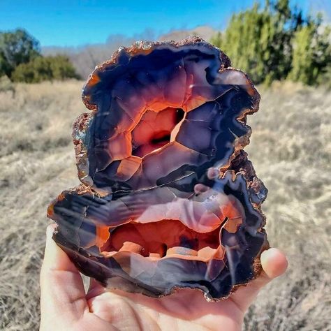 Exotic, Beautiful, And Rare Patagonian Crater Agate Only Found In Argentina! Minerals Crystals Rocks, Matka Natura, Estilo Tropical, Geology Rocks, Uv Reactive, Pretty Rocks, Cool Rocks, Beautiful Rocks, Minerals And Gemstones