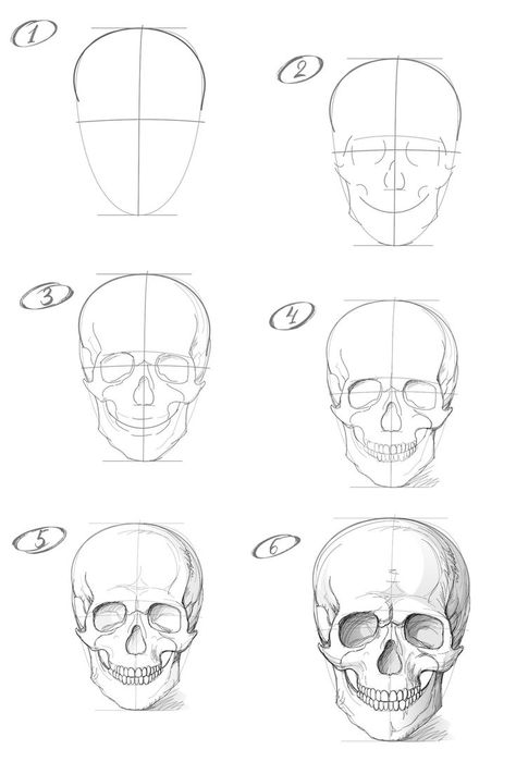 How to draw a skull with a pencil step-by-step drawing tutorial Skull Study Drawing, Lukisan Van Gogh, Skull Drawing Sketches, Draw A Skull, Steps To Draw, Konst Designs, Skull Anatomy, Skull Sketch, Anatomy References