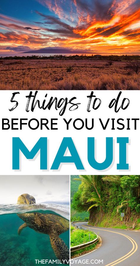 Dreaming of Maui? Find out the top 5 things to do before your visit to this Hawaiian paradise! Our expert travel tips will help you make the most of your Maui adventure. 🐋 #MauiTravel #HawaiiVacation #TravelTips #MauiGuide #HawaiianIslands #MauiChecklist #AdventureAwaits | Hawaii travel tips | Hawaii travel guide | Maui travel guide Best Beaches In Maui, Maui Travel Guide, Hawaii Trip Planning, Hawaii Itinerary, Hawaii Things To Do, Hawaii Travel Guide, Trip To Maui, Maui Travel, Maui Vacation