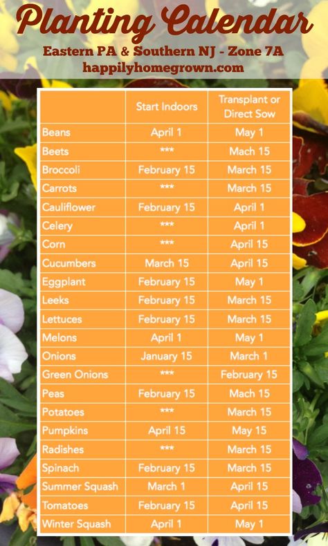 Do you live in eastern PA or southern NJ and want to know when to start your seeds? A planting calendar specific to our area is key! Urban Homesteading, Gardening Calendar, When To Plant Seeds, Growing Calendar, When To Plant Vegetables, Planting Calendar, When To Plant, Garden Calendar, Potager Garden