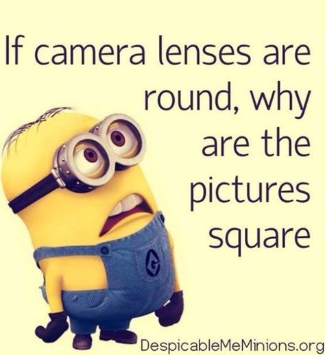 Jenaka Kelakar, Funny Minion Pictures, Funny Minion Memes, Minion Jokes, Minion Pictures, Funny Disney Jokes, Funny Texts Jokes, Minion Quotes, Funny Minion Quotes