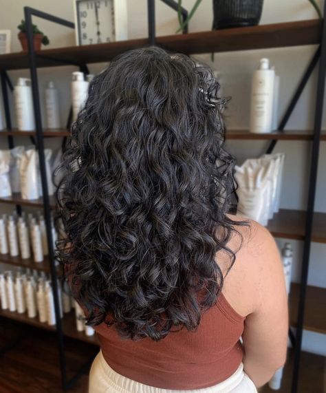 Layers 2c Hair, Best Haircuts For 2c Curly Hair, 2b 2c Curly Hair Haircuts, Round Wavy Haircut, U Shape Curly Haircut, No Volume Curly Hair, U Shaped Haircut Curly Hair, 3b Curly Haircut Long, Long 2c Curly Hair