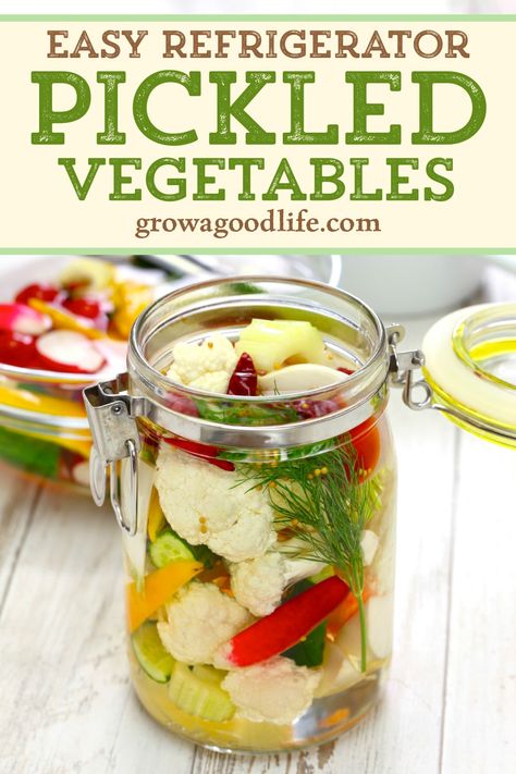 Refrigerator pickles are an ideal way to preserve a small harvest of mixed vegetables. Store the jars in the refrigerator for up to three months and you will have a ready to serve condiment for all your meals. Learn how to quick pickle any vegetable with this easy refrigerator pickled vegetables recipe. How To Pickle Vegetables, Pickled Veggies Recipe, Pickles Homemade Easy, Pickle Vegetables, Jar Mixes, Quick Pickled Vegetables, Easy Pickling Recipes, Pickled Vegetables Recipe, Refrigerator Pickle Recipes