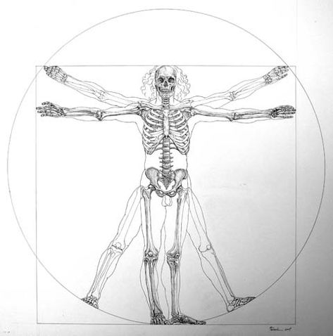 Skeleton. Vitruvian Man Leonardo Da Vinci. Skeleton. #Skeleton #Vitruvian #Man #Proportions #Ideal_Figure #Ideal_Proportions Vitruvian Man Drawing, Vitruvius Man Tattoo, The Vitruvian Man Tattoo, Skeleton Proportions, Da Vinci Tattoo Ideas, Vitruvian Man Tattoo Design, Human Anatomy Tattoo, Vitruvian Man Art, Vitruvian Man Tattoo