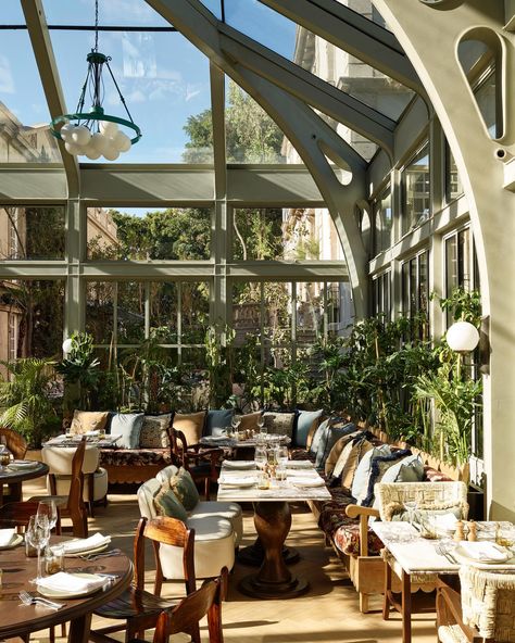 Soho House Mexico City is here: take a look inside 👀 This week we open the doors to Founder members with a week of celebrations to mark… | Instagram Nature, Soho House Restaurant, Outside Courtyard, Pool And Pool House, House Mexico, Orangery Extension, Resturant Design, Opening A Cafe, Soho Farmhouse