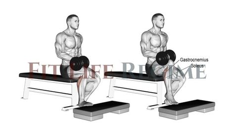 Seated Dumbbell One Leg Calf Raise Muscles, Calf Raises Exercise, Bigger Calves, Seated Calf Raise, Big Calves, Calf Raises, Calf Muscles, Legs Workout, Step By Step